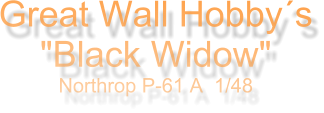 Great Wall Hobbys "Black Widow" Northrop P-61 A  1/48