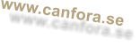 www.canfora.se